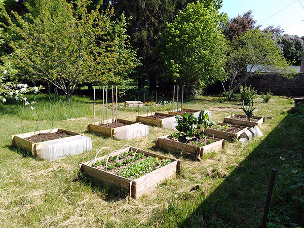 photo du potager de Dany Rouet